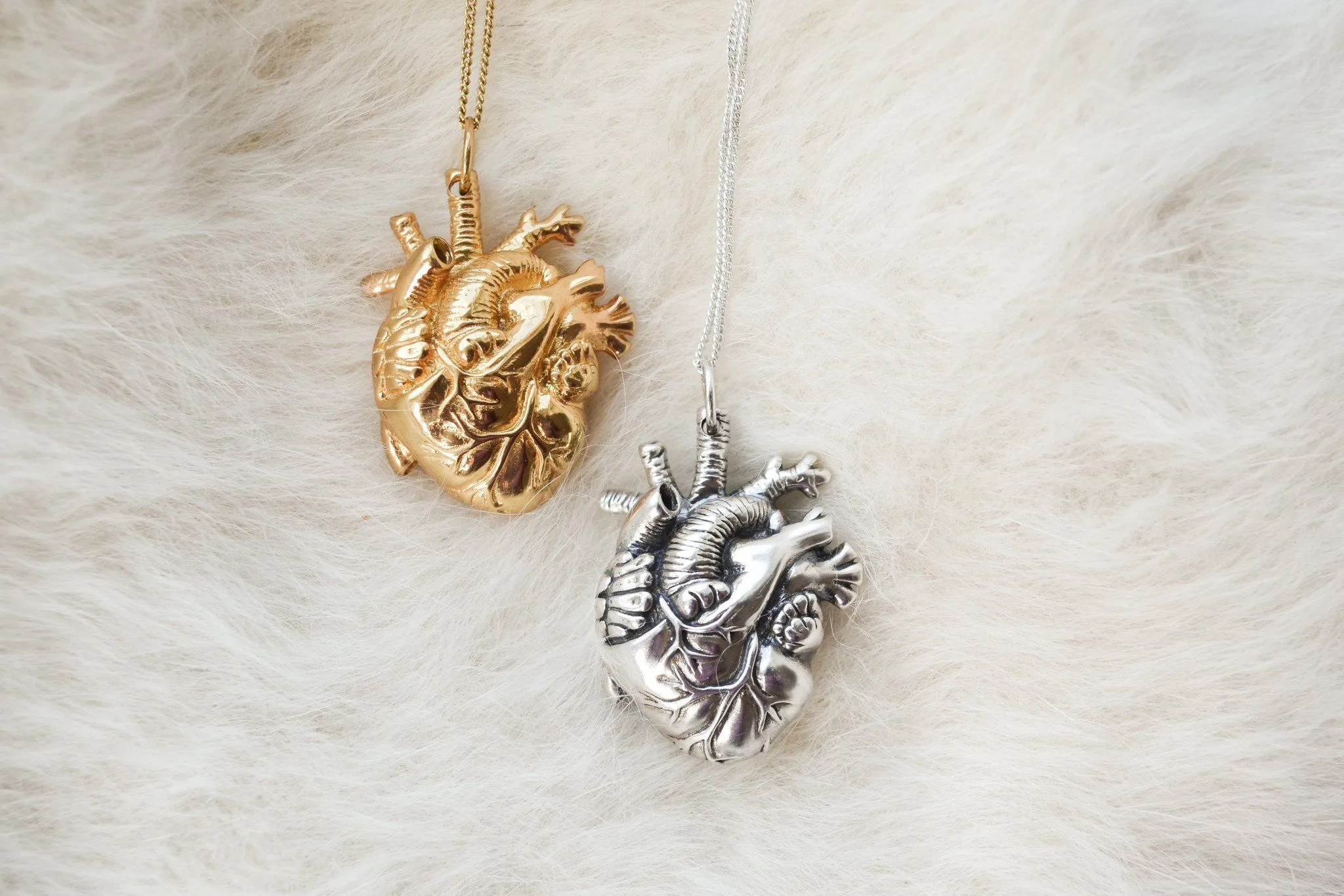 Mini Anatomical Heart Locket