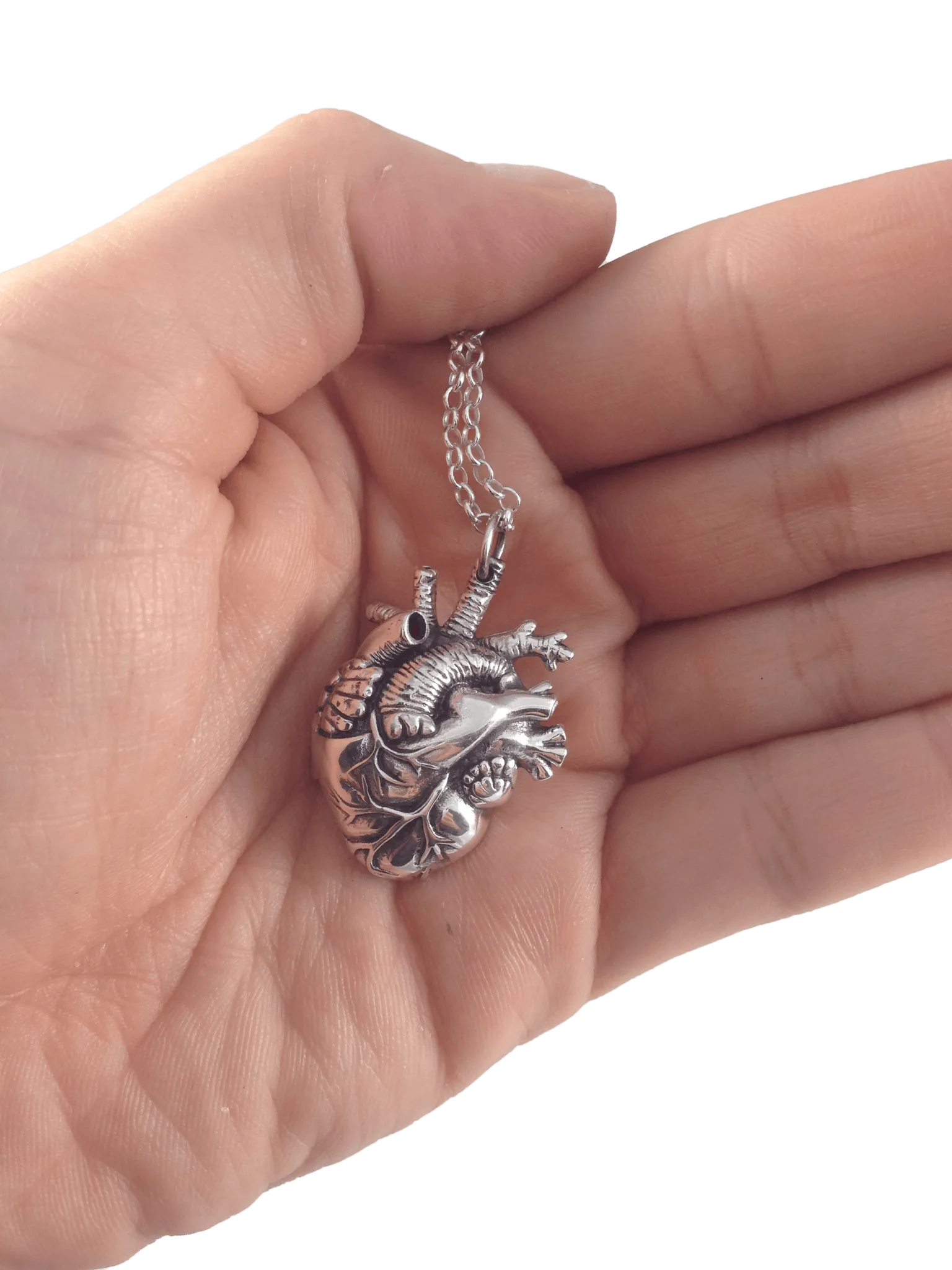 Mini Anatomical Heart Locket